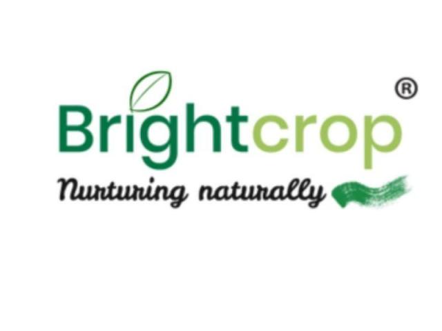 Brown Rice Flour 1kg Pack for Gluten-Free Cooking