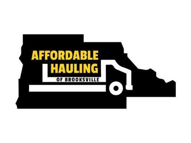 12 Yard Dumpster Rental for Small Cleanup Projects