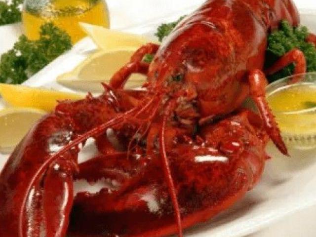 Shop Cooked Lobsters