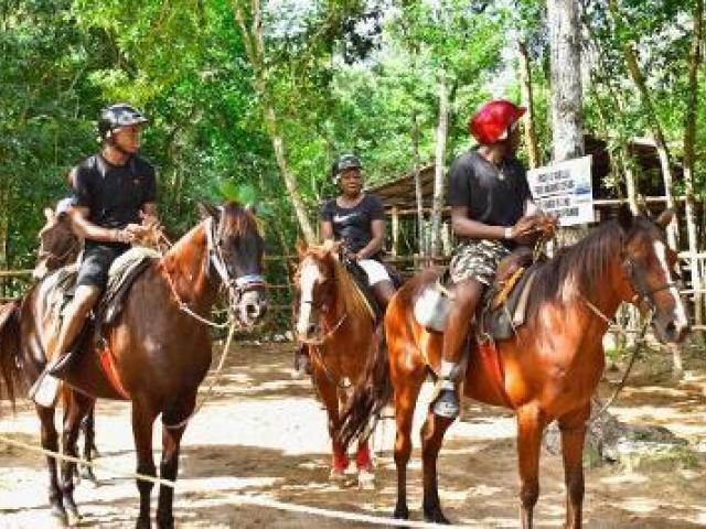 United Airlines Vacations Travel Agents