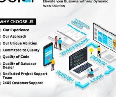 Professional web development agency