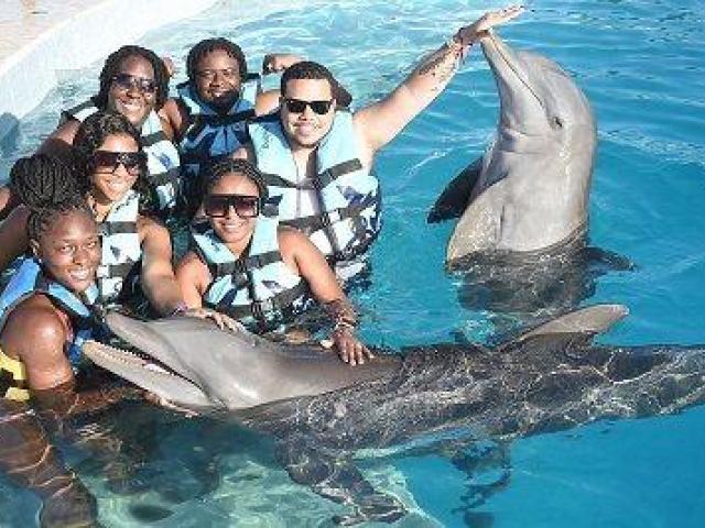 Travel Agents For Flight Booking Queens