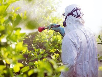 Pesticide Control