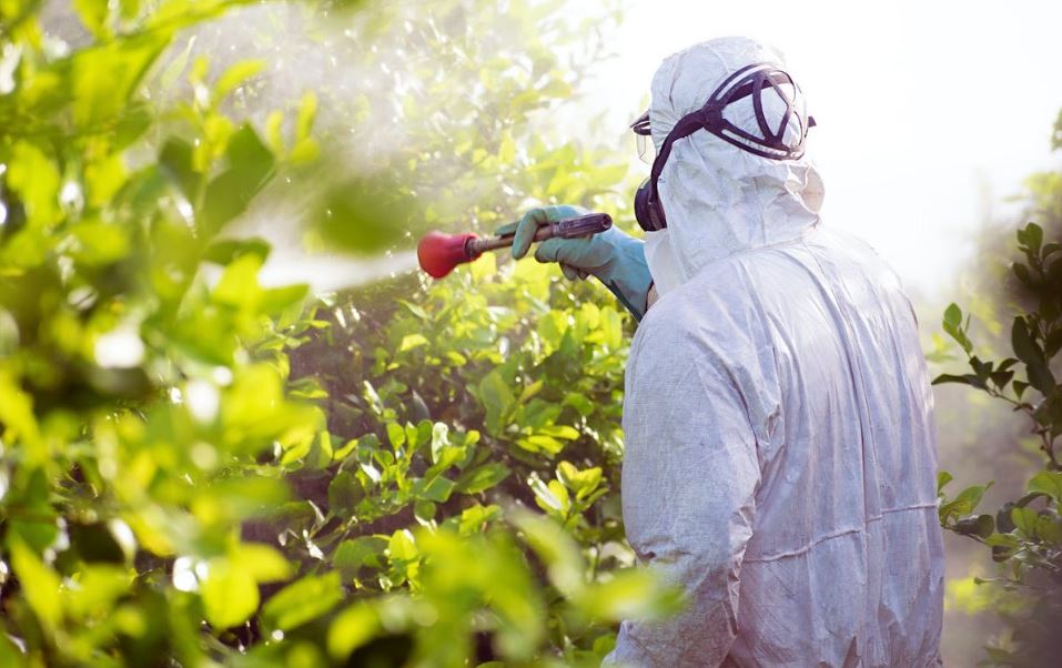 Pesticide Control