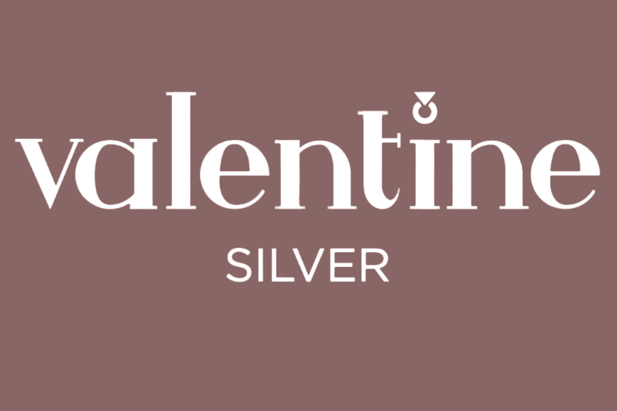 VALENTINE SILVER LOGO WITH COLOUR CODE 8e6664 1