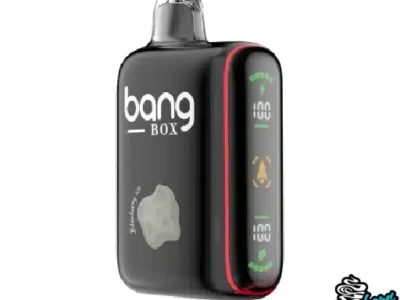 Blueberry Ice Bang Box 18000 Puffs smokersheap.jpg