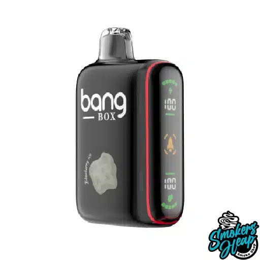Blueberry Ice Bang Box 18000 Puffs smokersheap.jpg