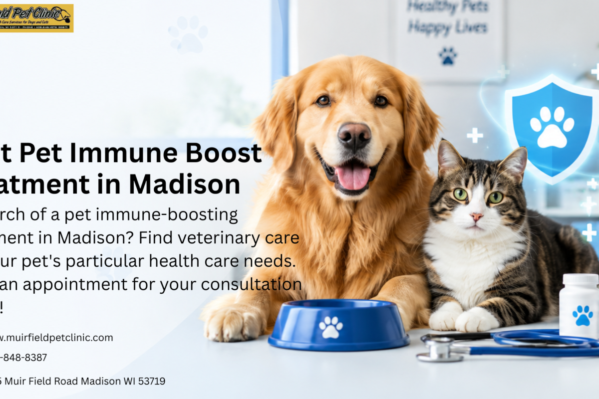 Best Pet Immune Boost Treatment in Madison | Get Care 1 Immune Boost Treatment image