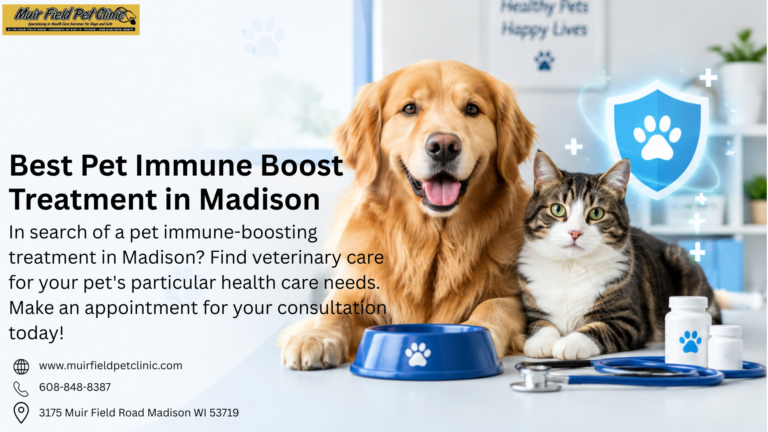 Immune Boost Treatment image