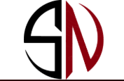Web Development Services in Pakistan | Professional Website Solutions 4 SN Tech Sol