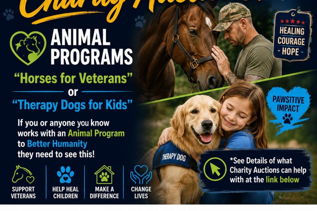 charity animal programs