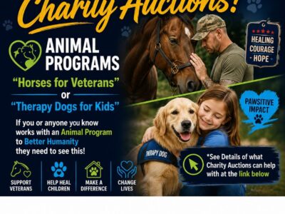 charity animal programs