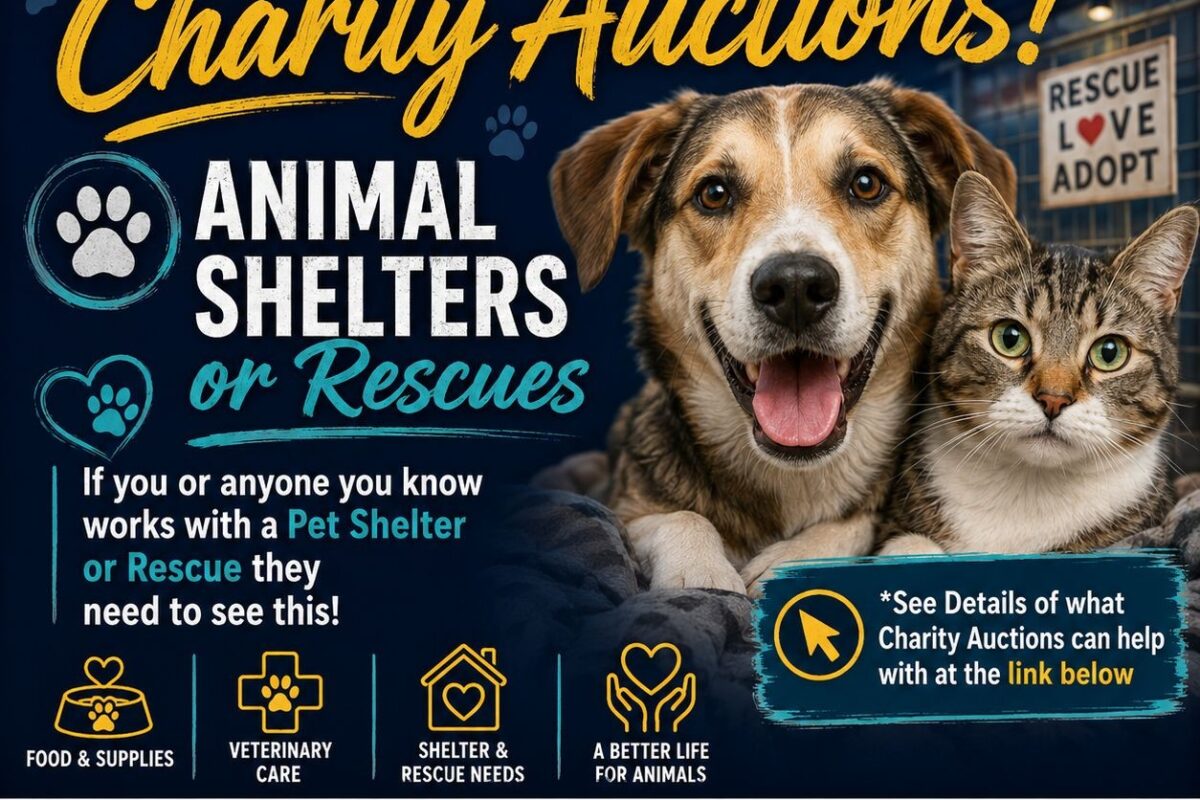 charity animal shelters