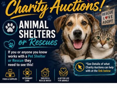 charity animal shelters