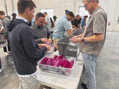 ilu 8