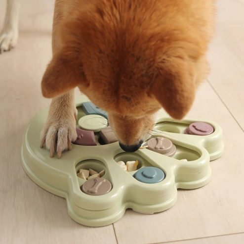 Buy Dog Puzzle Toy!