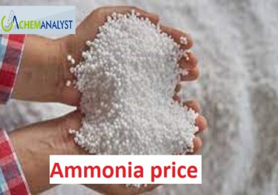 Ammonia-price