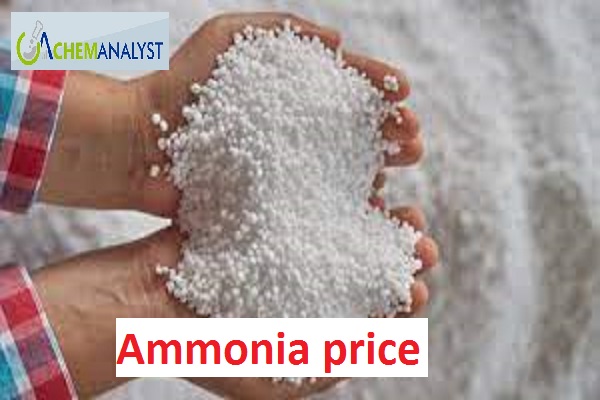 Ammonia Price Trend and Forecast