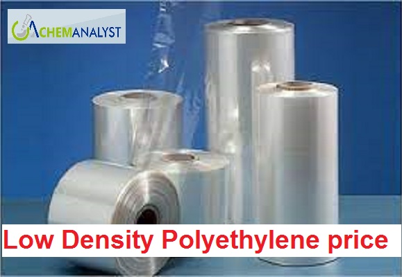 Low Density Polyethylene Price Trend and Forecast