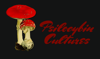 Psilocybin Culture