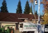 Lyon’s Tree Service Roseville