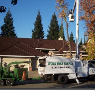 Lyon’s Tree Service Roseville