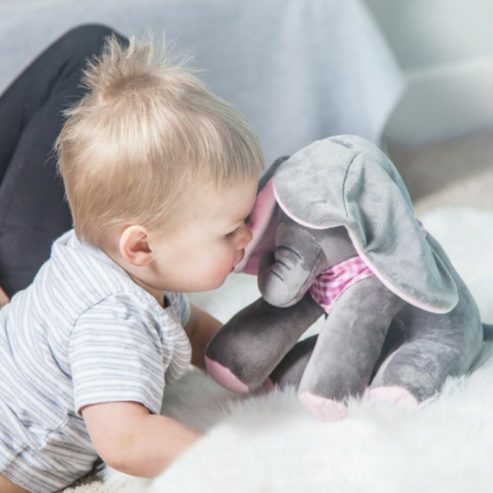 Peek A Boo Elephant Toy