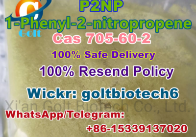 P2NP