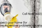 Residential & commercial mold inspection after water damage