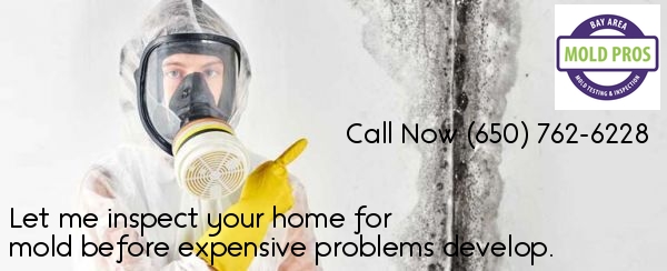 Residential & commercial mold inspection after water damage