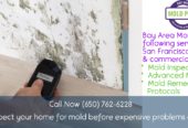 Residential & commercial mold inspection after water damage