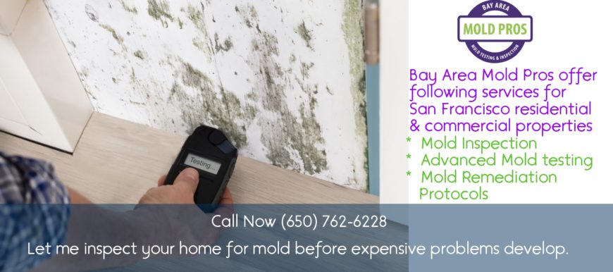 Residential & commercial mold inspection after water damage