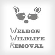 Weldon-Wildlife-Removal