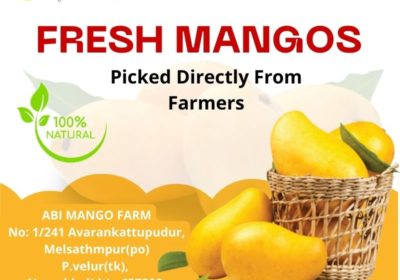 Abi-Fresh-Mango-Farm