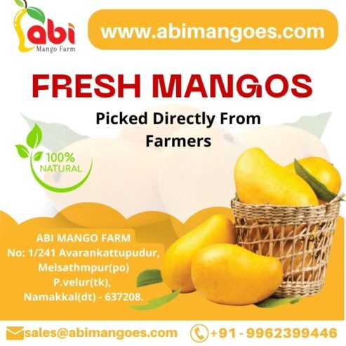 Farm Fresh Mangoes