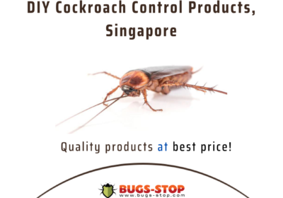 Cockroach-Control-Products-in-Singapore-by-BugsStop