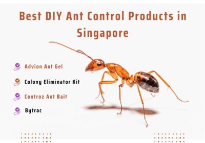 News_DIY-Ant-Control-Products