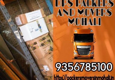 dps-Movers-and-Packers-In-Zirakpur