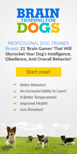 Need a Secret to using your dog’s natural intelligence to stop bad behavior?