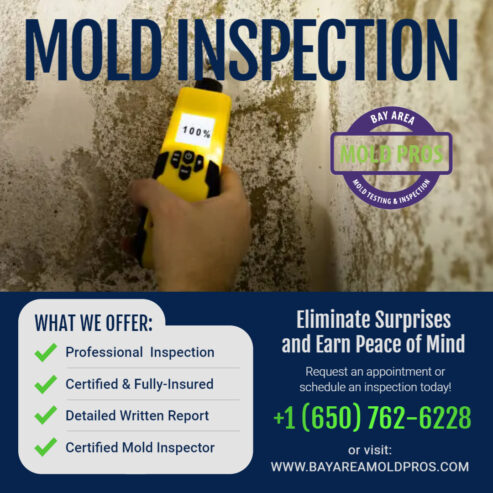 Professional Mold Inspection and Testing After Water Damage