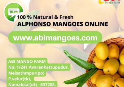 Abi-Natural-Mango-Farm