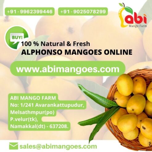 Buy Organic Hand Picked Mangoes Online