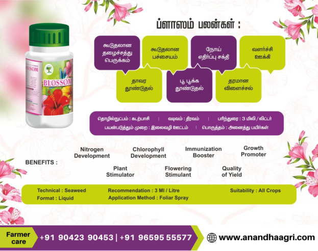 5 Top Successful Farming Business Ideas in Thoothukudi