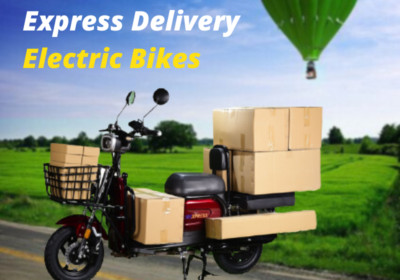 Delivery-Ebikes-in-Rajapalaym