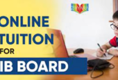 Get Flexible and Personalized Online IB Tuition With Ziyyara