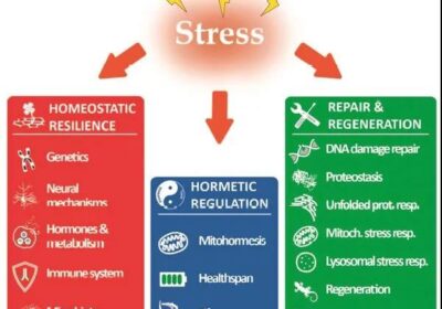 medscareplus2