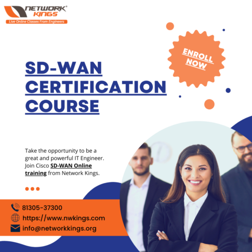 SD-WAN Course Training with Certification