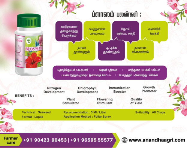 Quality Agro Products in Thoothukudi