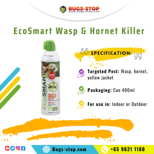 EcoSmart Wasp and Hornet Killer for Sale in Singapore