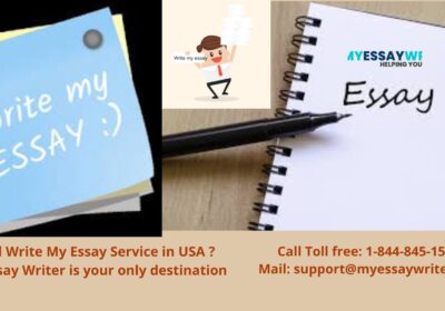 My-Essay-Writer-1